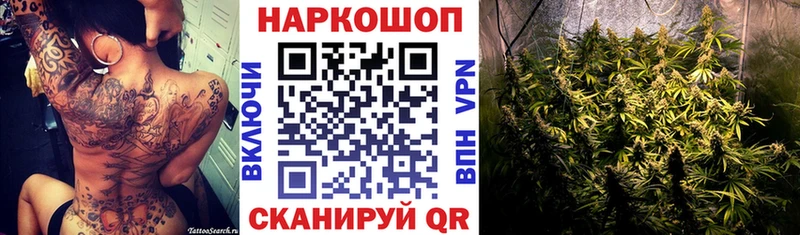 Альфа ПВП Новоалтайск