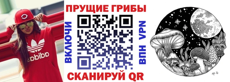 Купить где  Новоалтайск  Галлюциногенные грибы GOLDEN TEACHER 